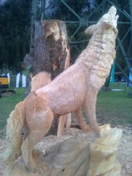 img-20140913-wa0006